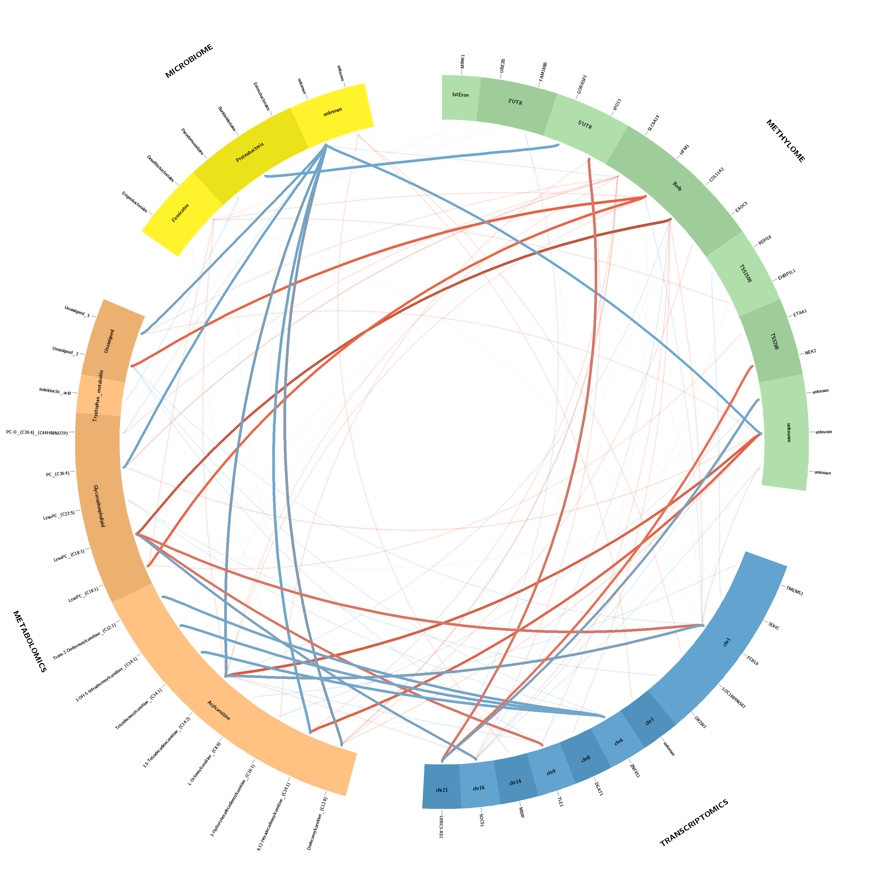 GitHub - rossellaalfano/Circular-plots: Multi-omics visualization via ...