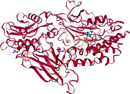 GitHub - matteoferla/PRMT7_analysis: Analysis of variants of PMRT7 · GitHub