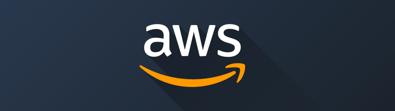 The Gamer Guide to Playing  Web Services (AWS)