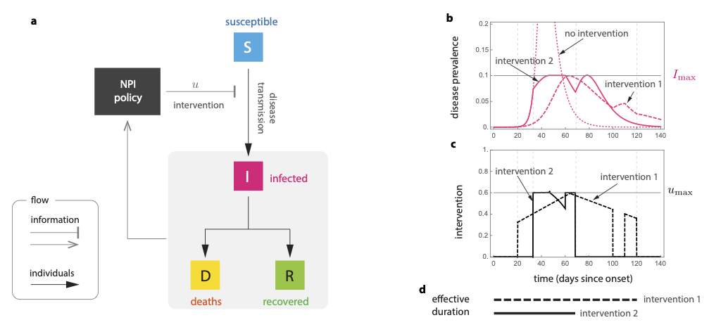 OptimalOutbreakMitigation