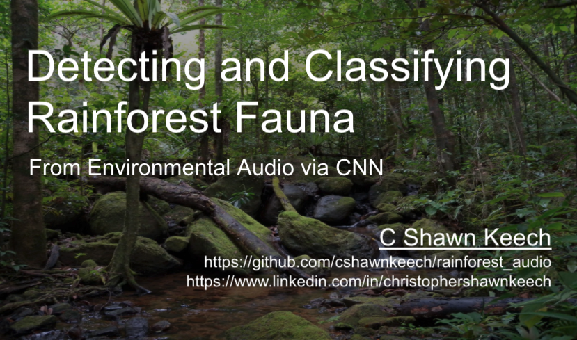 GitHub - cshawnkeech/rainforest_audio: Rainforest Species Detection ...