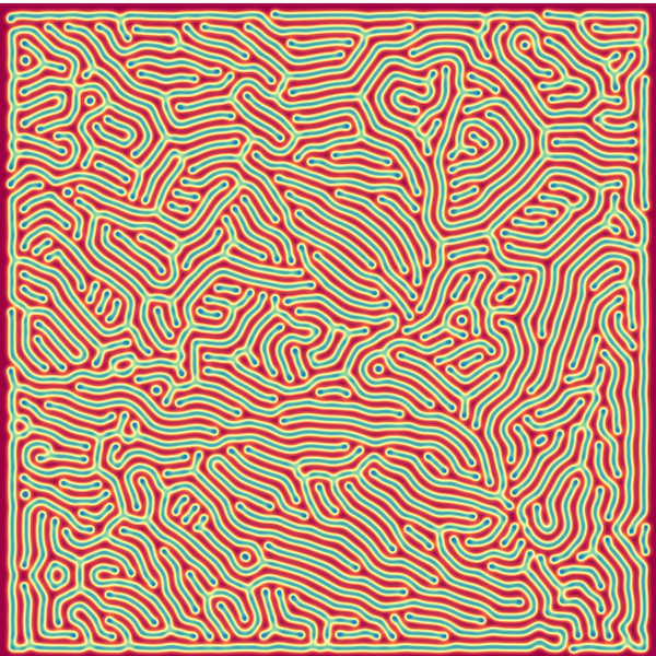 Github Multiscale Biological Modeling Course Multiscale Biological