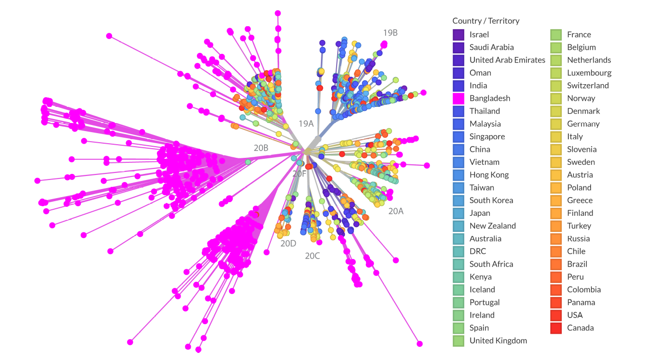 Phylogenetic Trees Github Topics Github