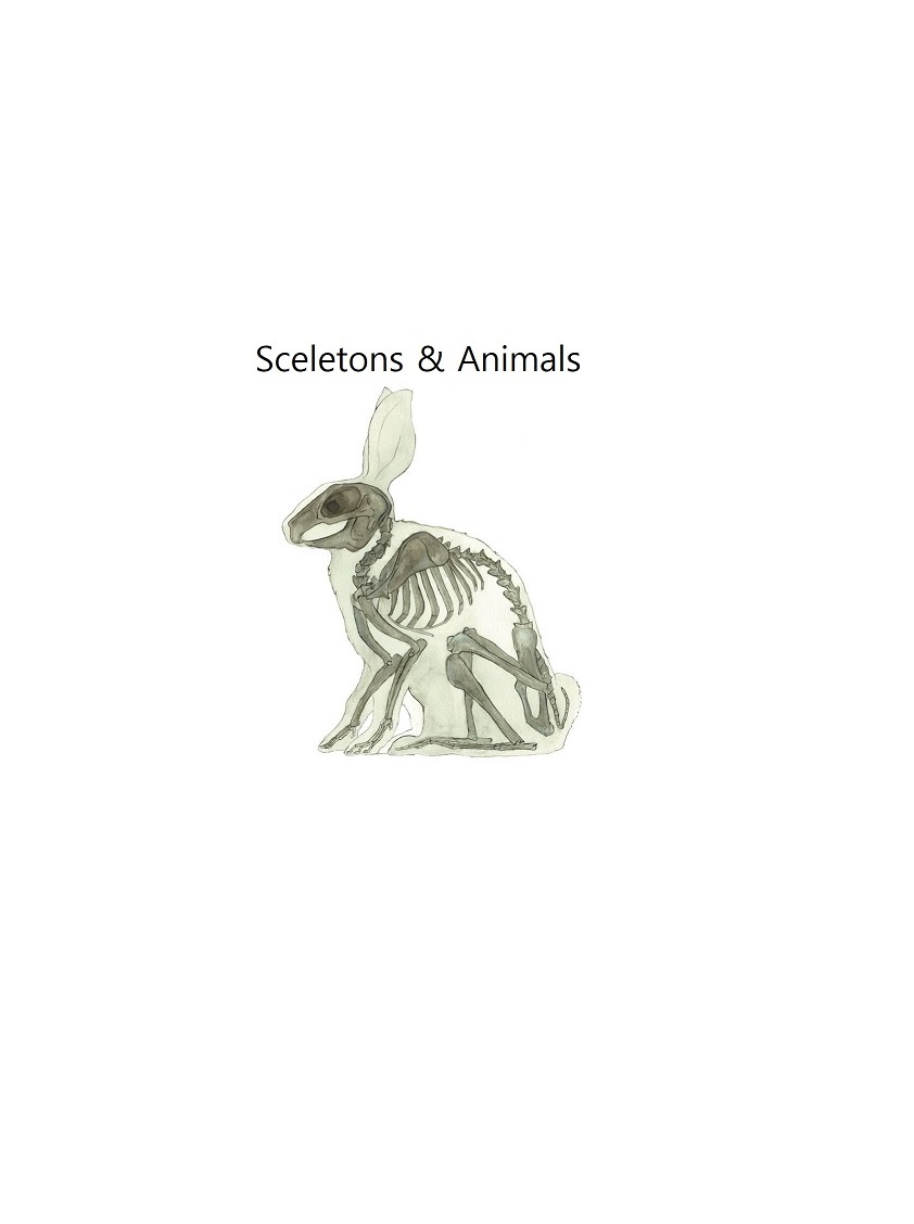 Skeletons_N_Animals