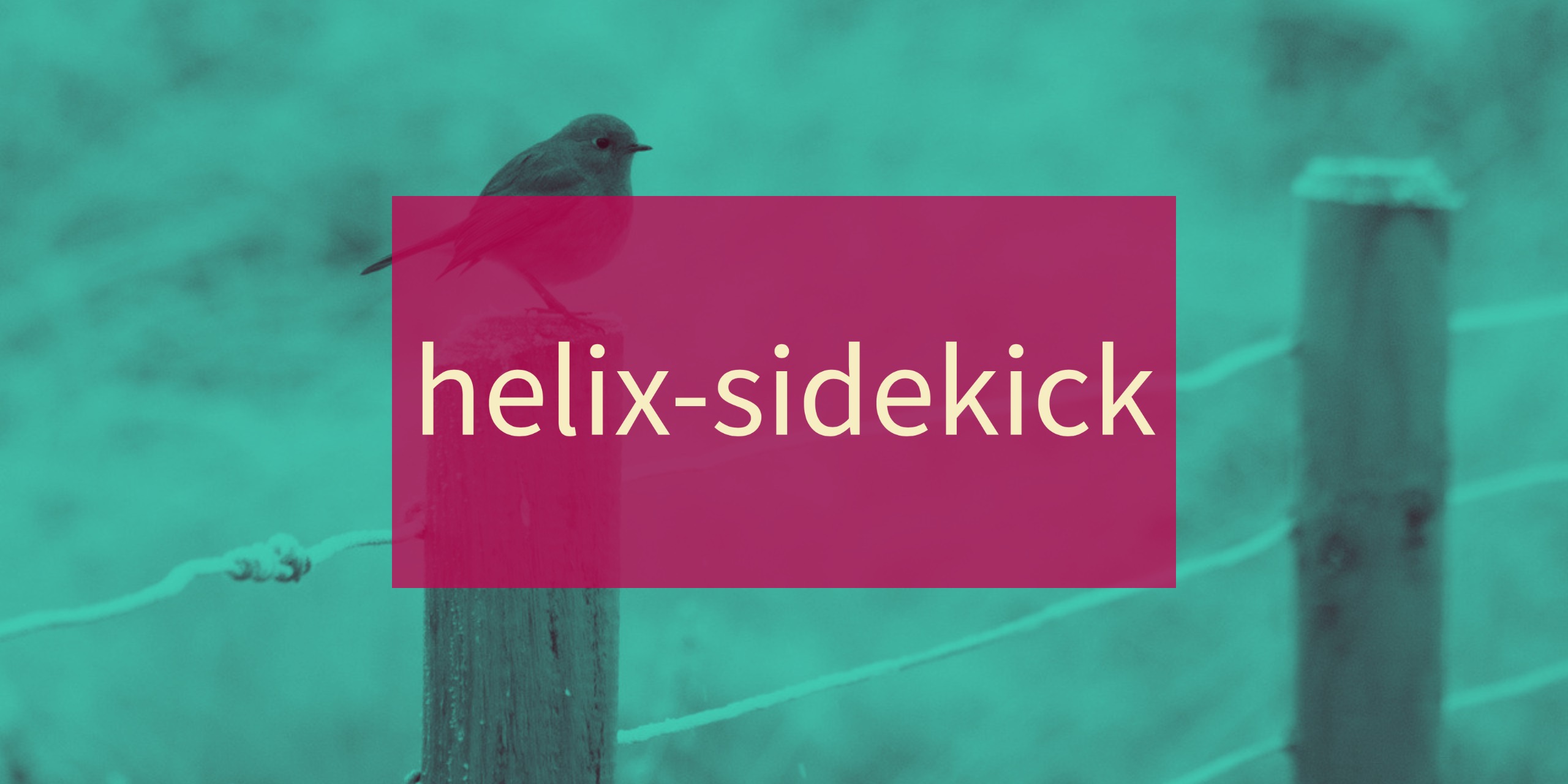 helix-sidekick