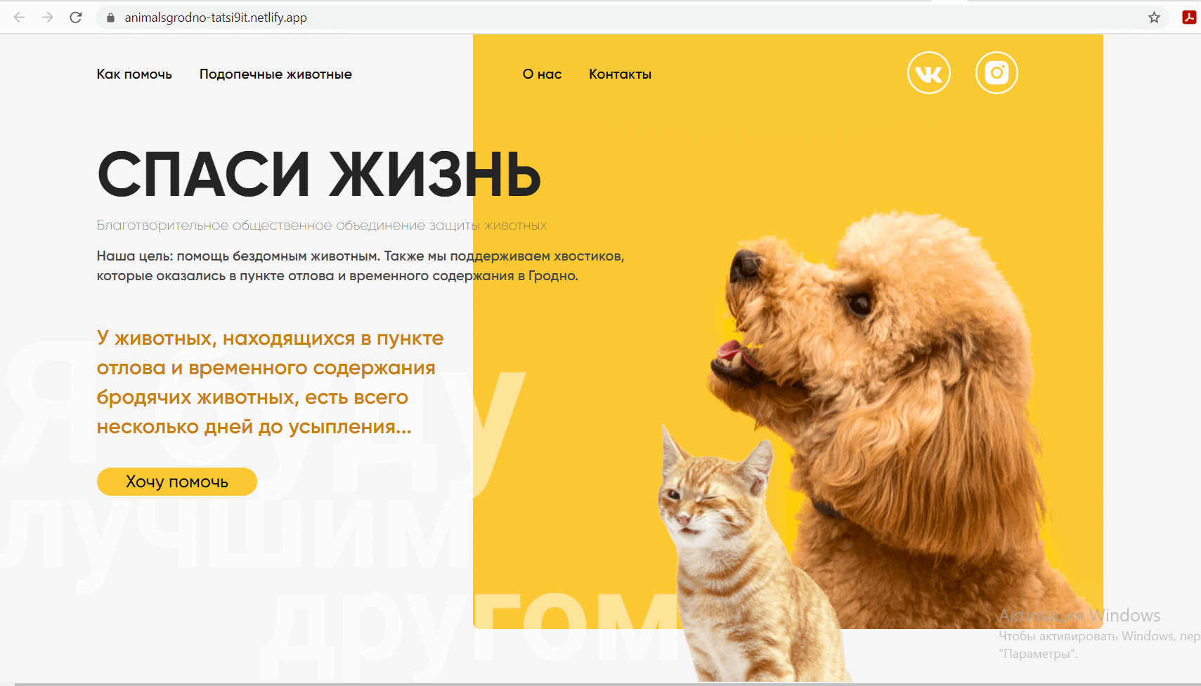 GitHub - tatsi9/animalsgrodno-HTML-CSS: верстка html + css по макету Senla