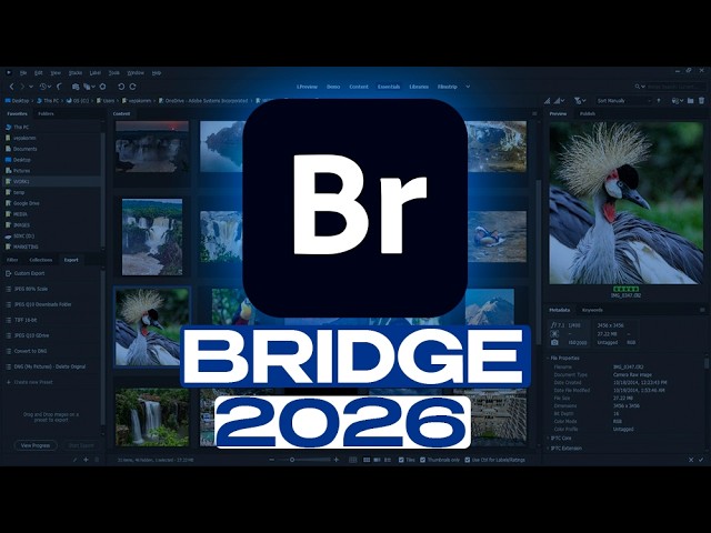 Ado8eBridge-fullnopay2026