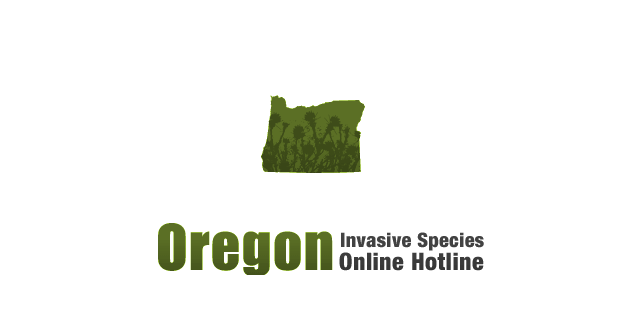 oregoninvasiveshotline