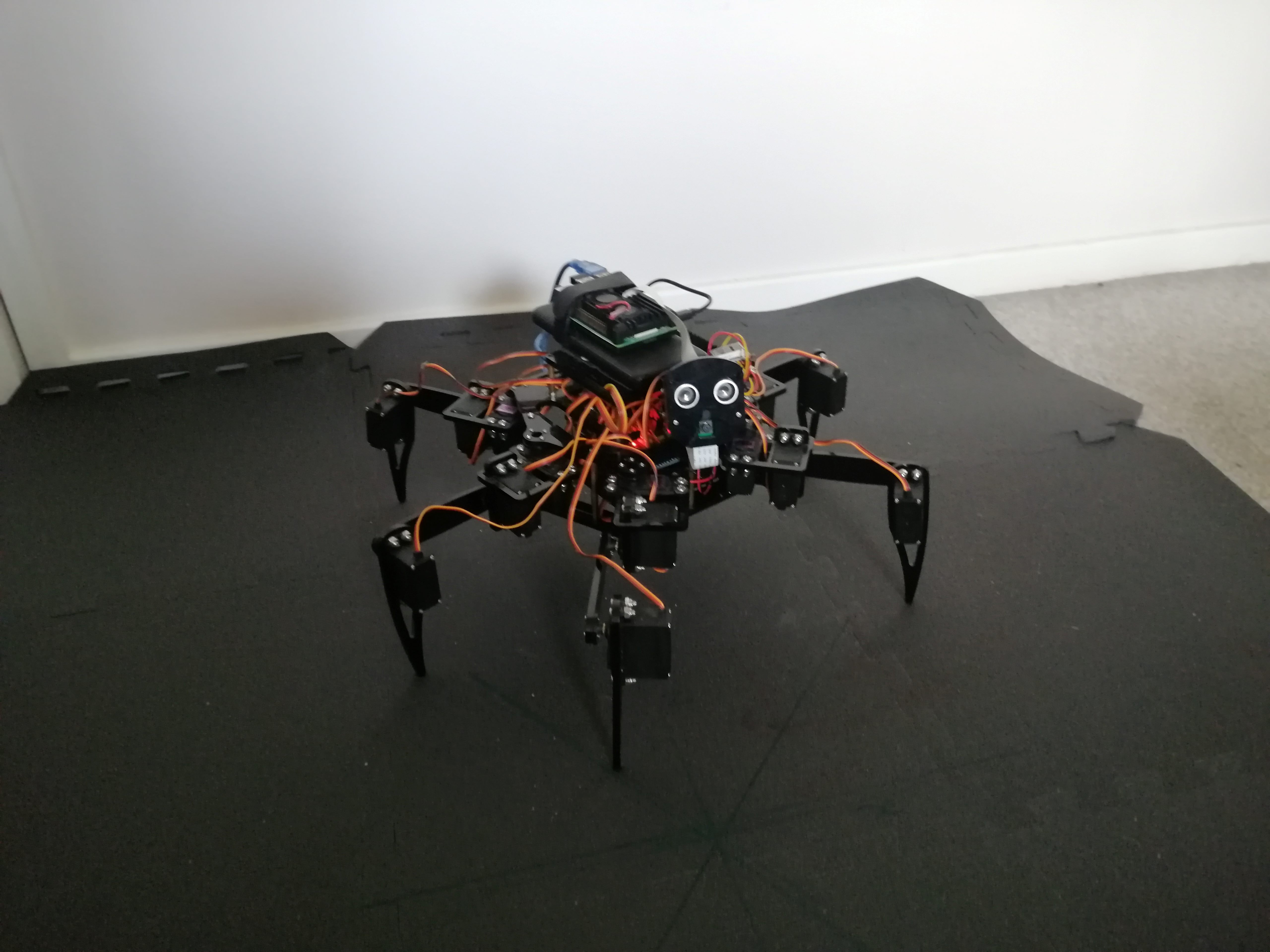 Hexapod-Robot