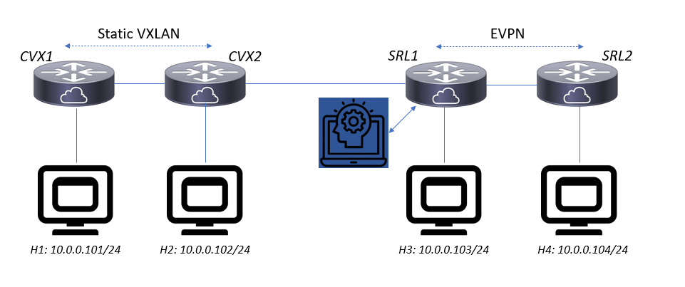 srl-evpn-proxy