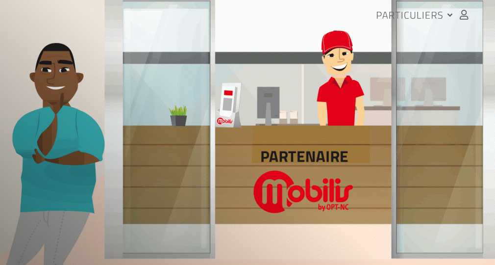 api-partenaires-mobilis-contribs