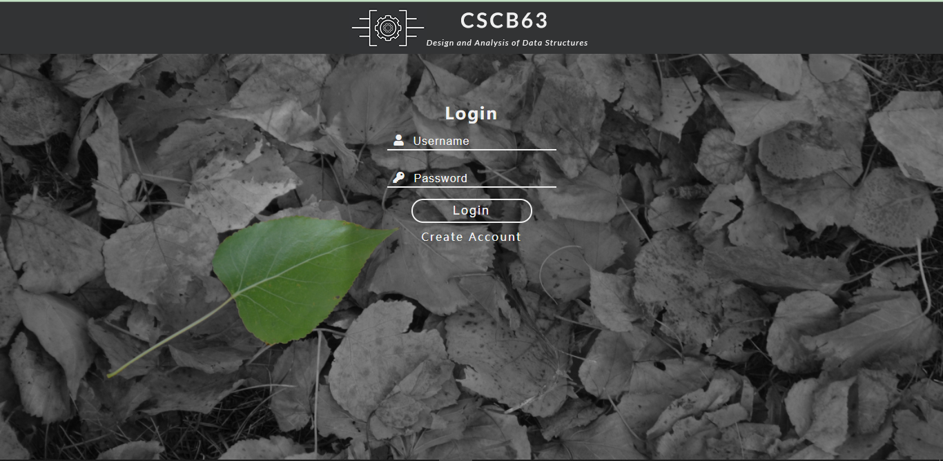 CSCB63-Course-Website