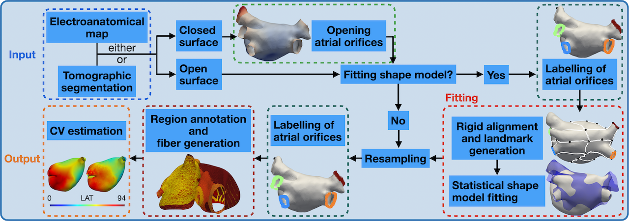 GitHub - KIT-IBT/AugmentA: AugmentA: Patient-specific Augmented Atrial ...