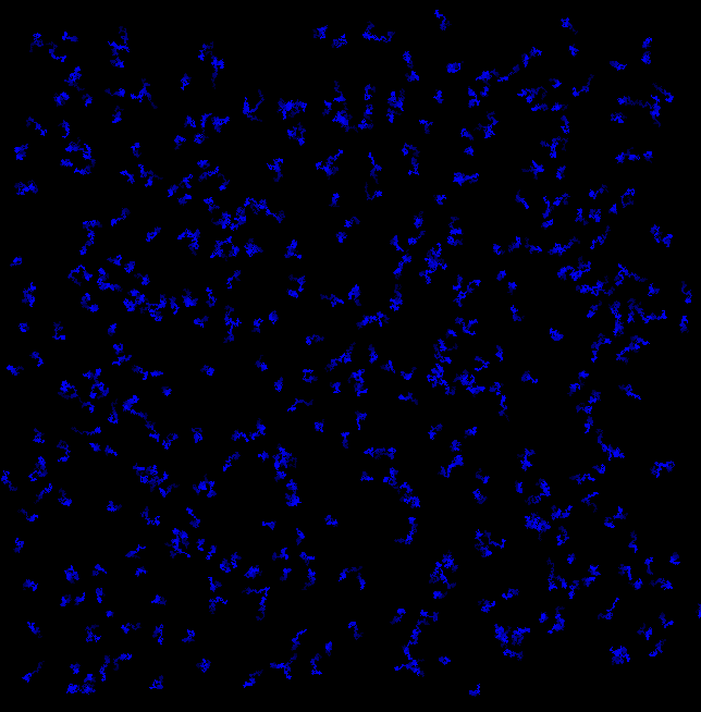 GitHub - Aleksy9/slime_simulation: Slime Simulation Using OpenGL