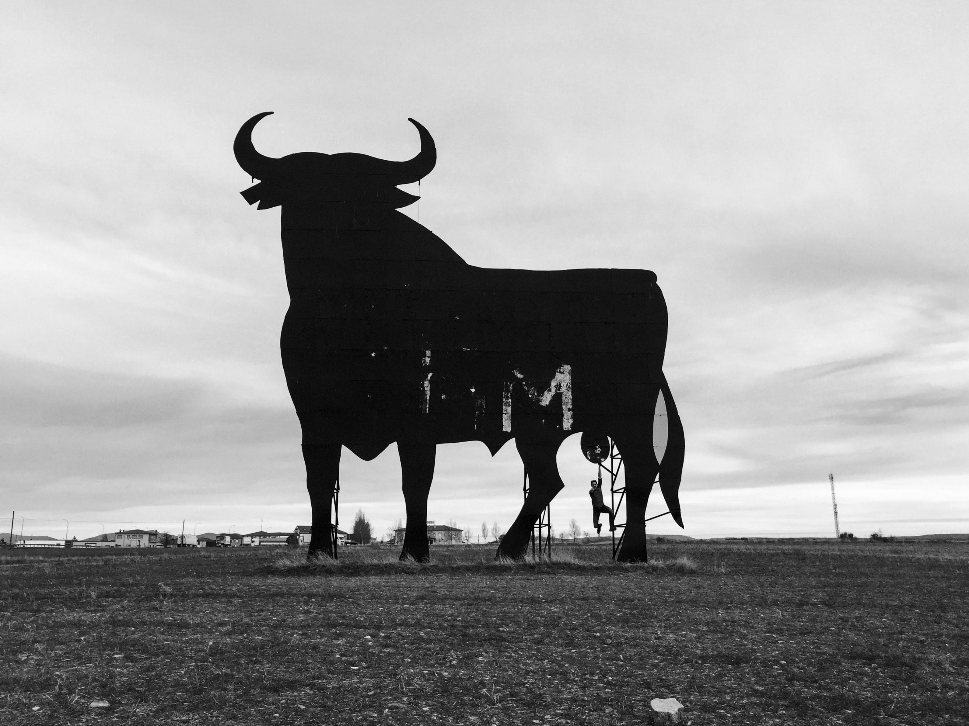 Bulls-And-Cows-Game