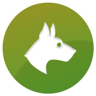 GitHub - temiogunbanjo/robin-ai: Robin AI is a virtual assistant