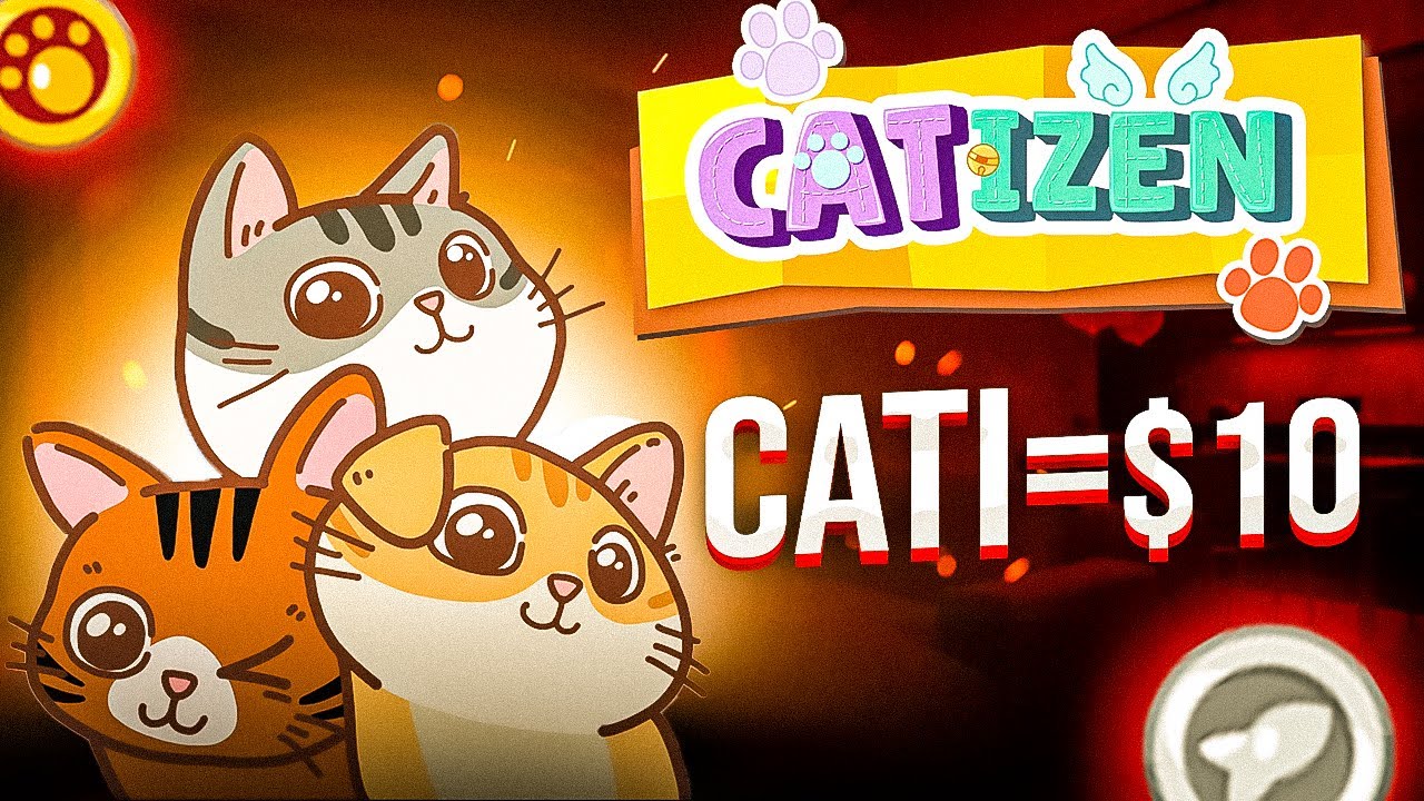 catizen-auto