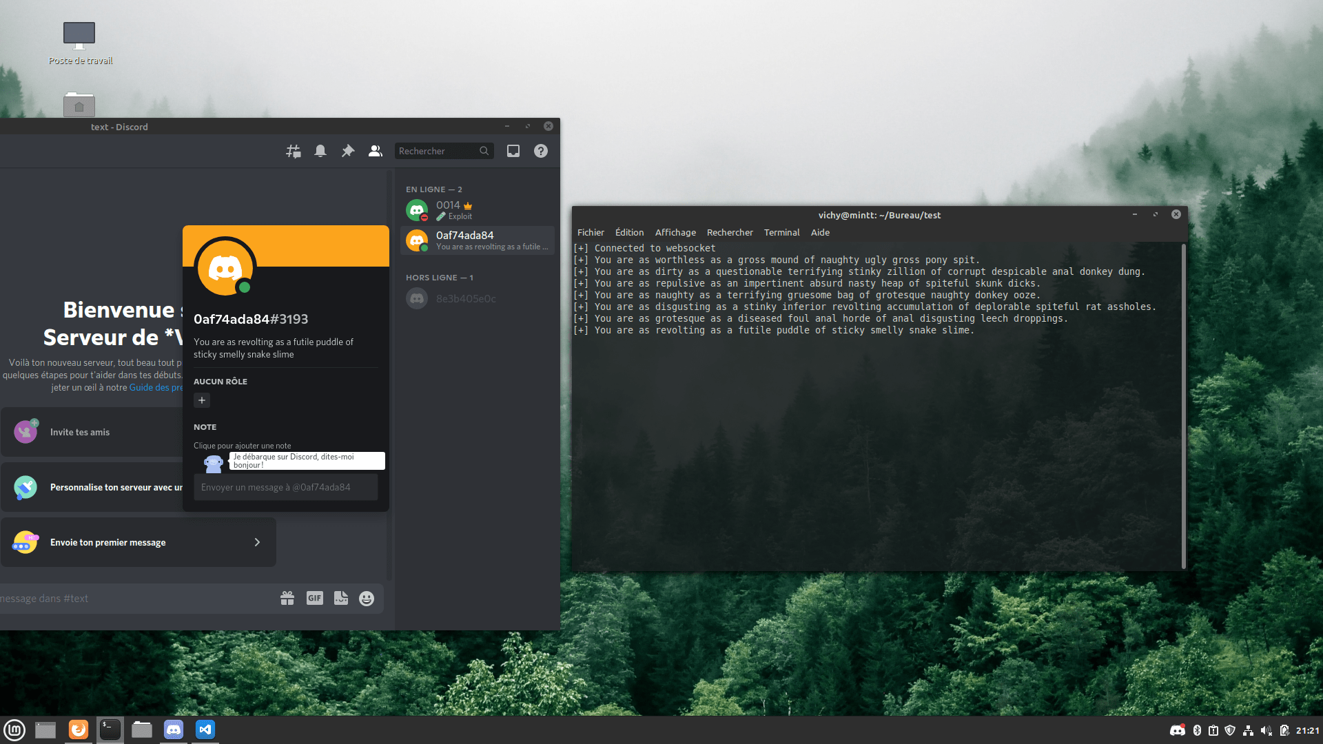 GitHub ItsVichy/discordstatusinsultchanger Change the discord