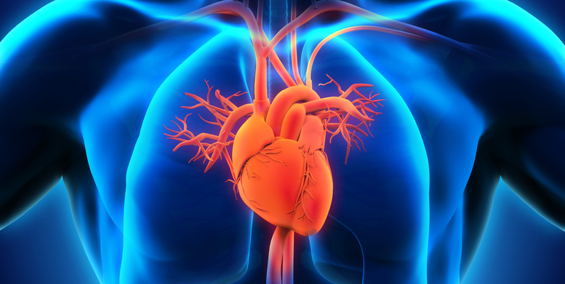 heart-disease-dataset · GitHub Topics · GitHub