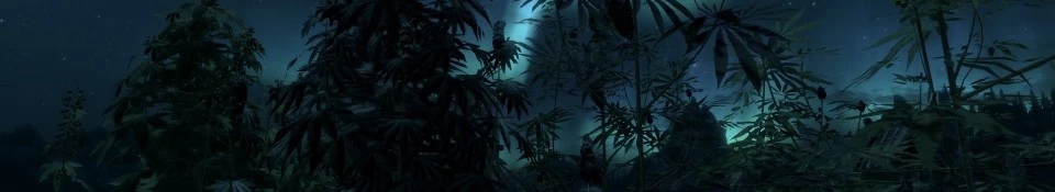 Cannabis-Skyrim