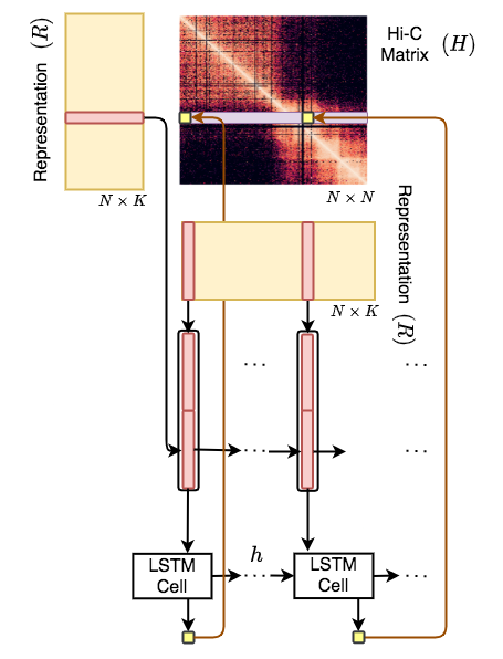 Hi-C-LSTM