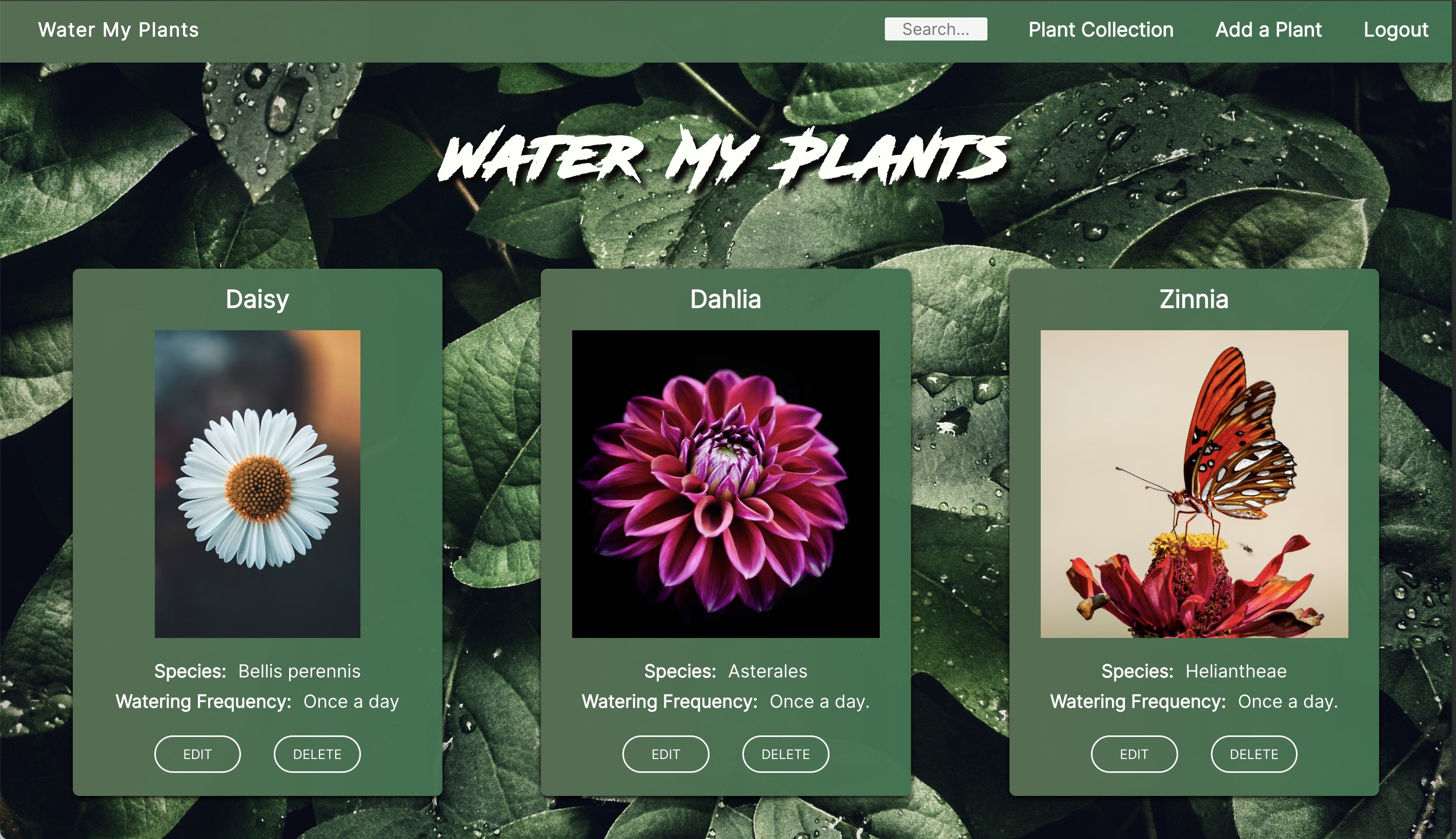 GitHub - water-my-plantz/water-my-plants-frontend: react front end for ...