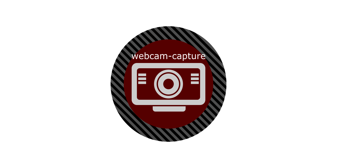 Ip store webcam github