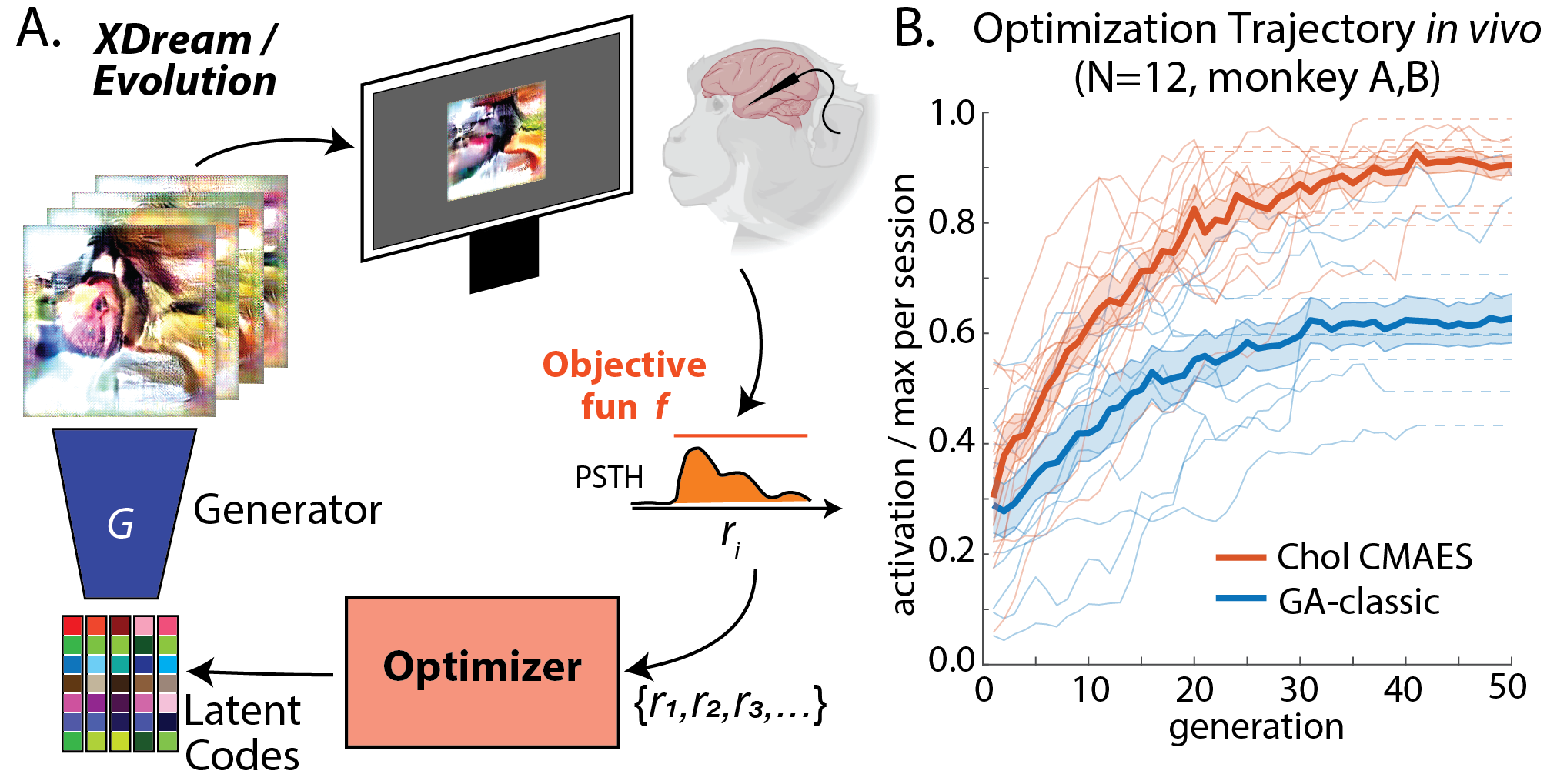 ActMax-Optimizer-Dev