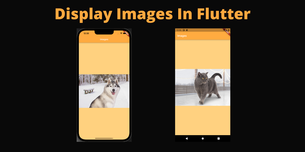 GitHub - ManishAhire/display_images_flutter: Display Images In Flutter