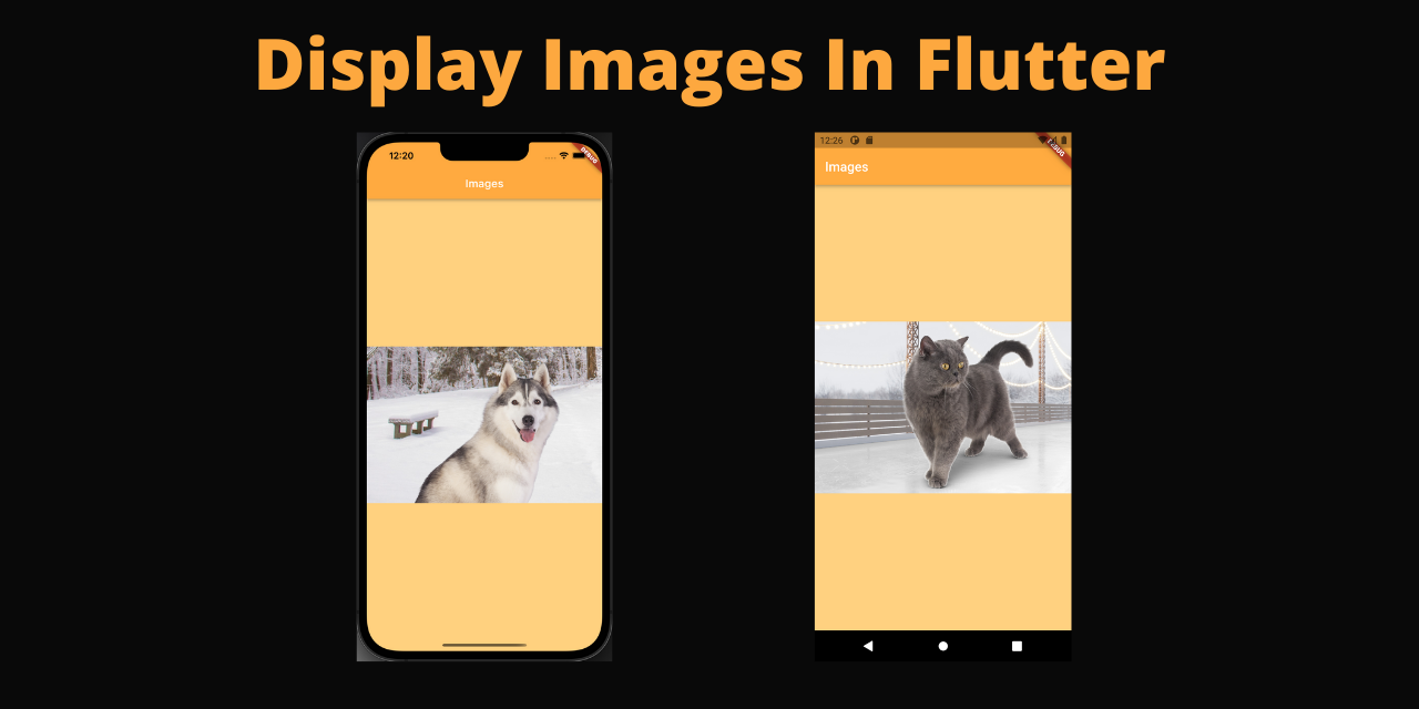 display_images_flutter