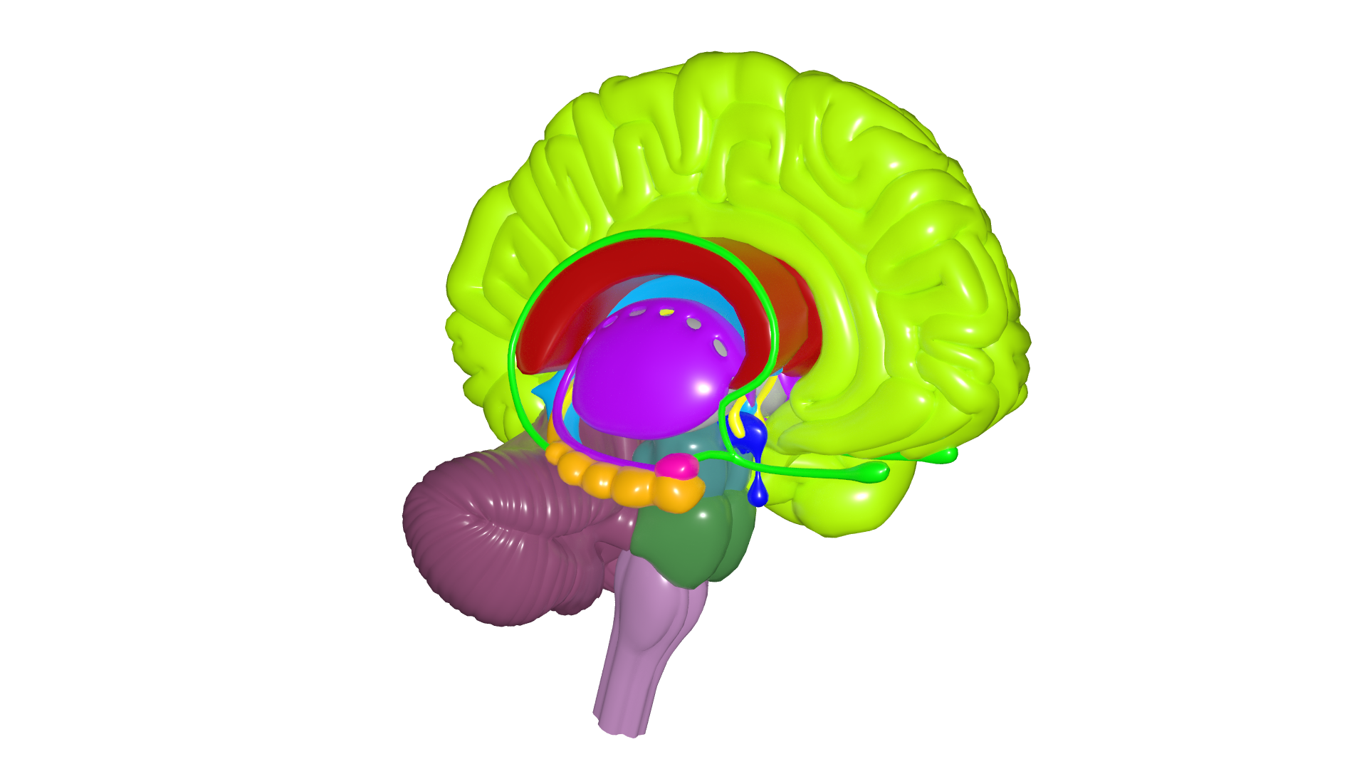 neuroxai