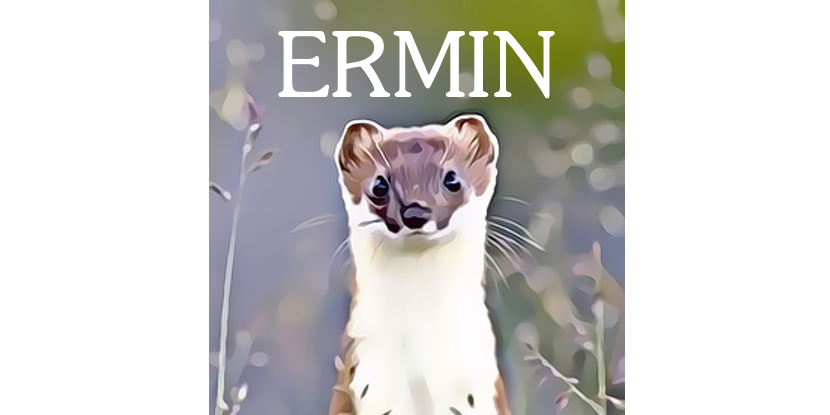 GitHub - knights-lab/ermin-standards: Emissions Report Minimum ...