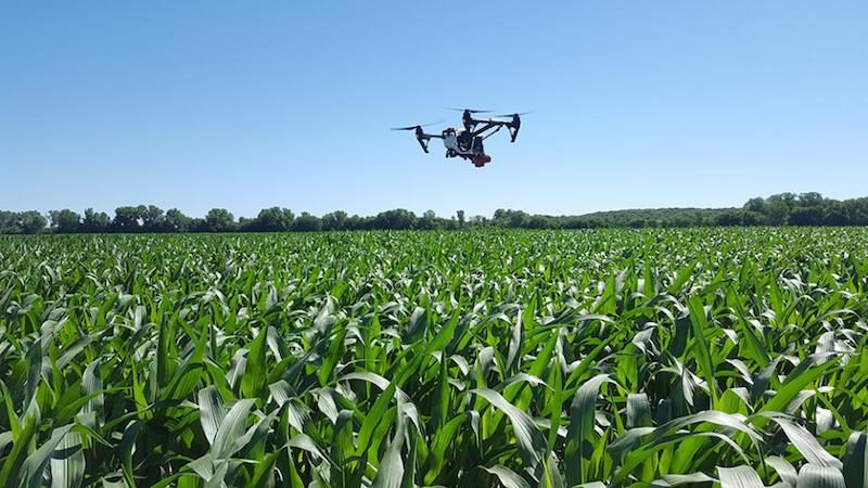 corn-yield-prediction