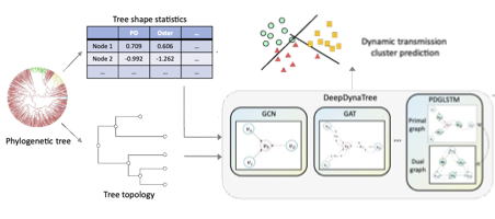 GitHub - salemilab/DeepDynaTree: Phylogenetic-informed graph deep ...
