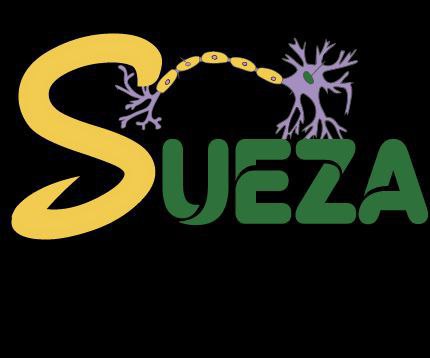 Sueza_project