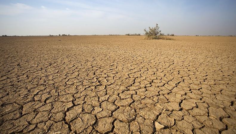 near-real-time-drought-exposure