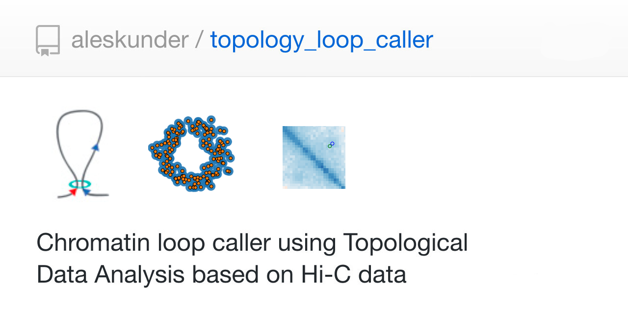 topology_loop_caller