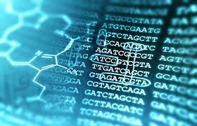 GitHub - ahmedtaipei/SuDNA: A project to implement DNA sequence in an ...