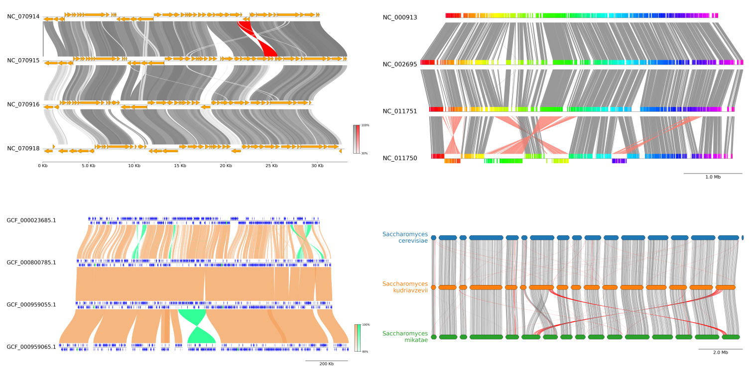 pyGenomeViz