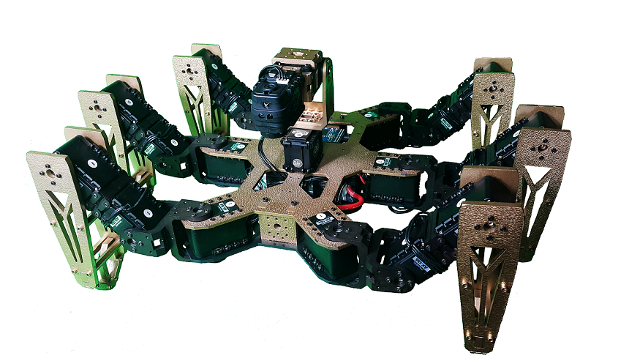 Hexapod spider 2024