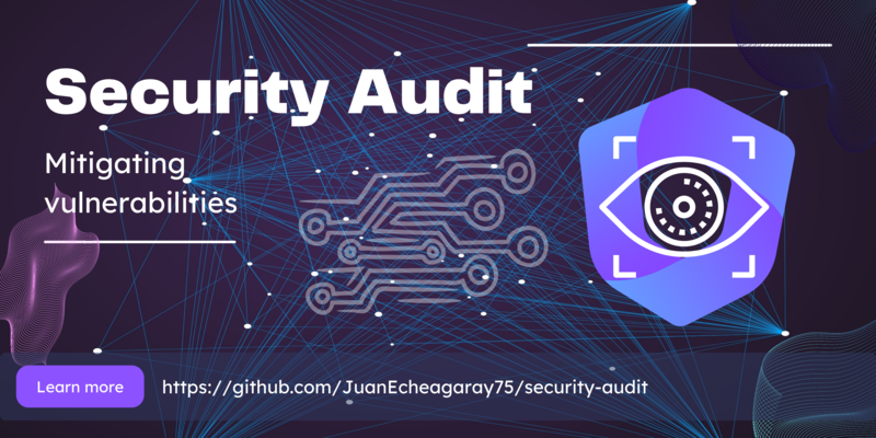 security-audit