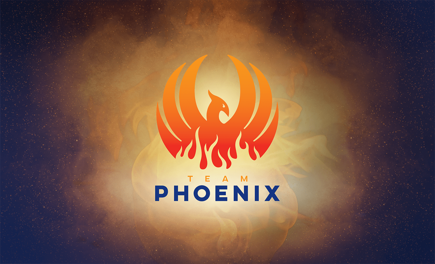 team_phoenix_project