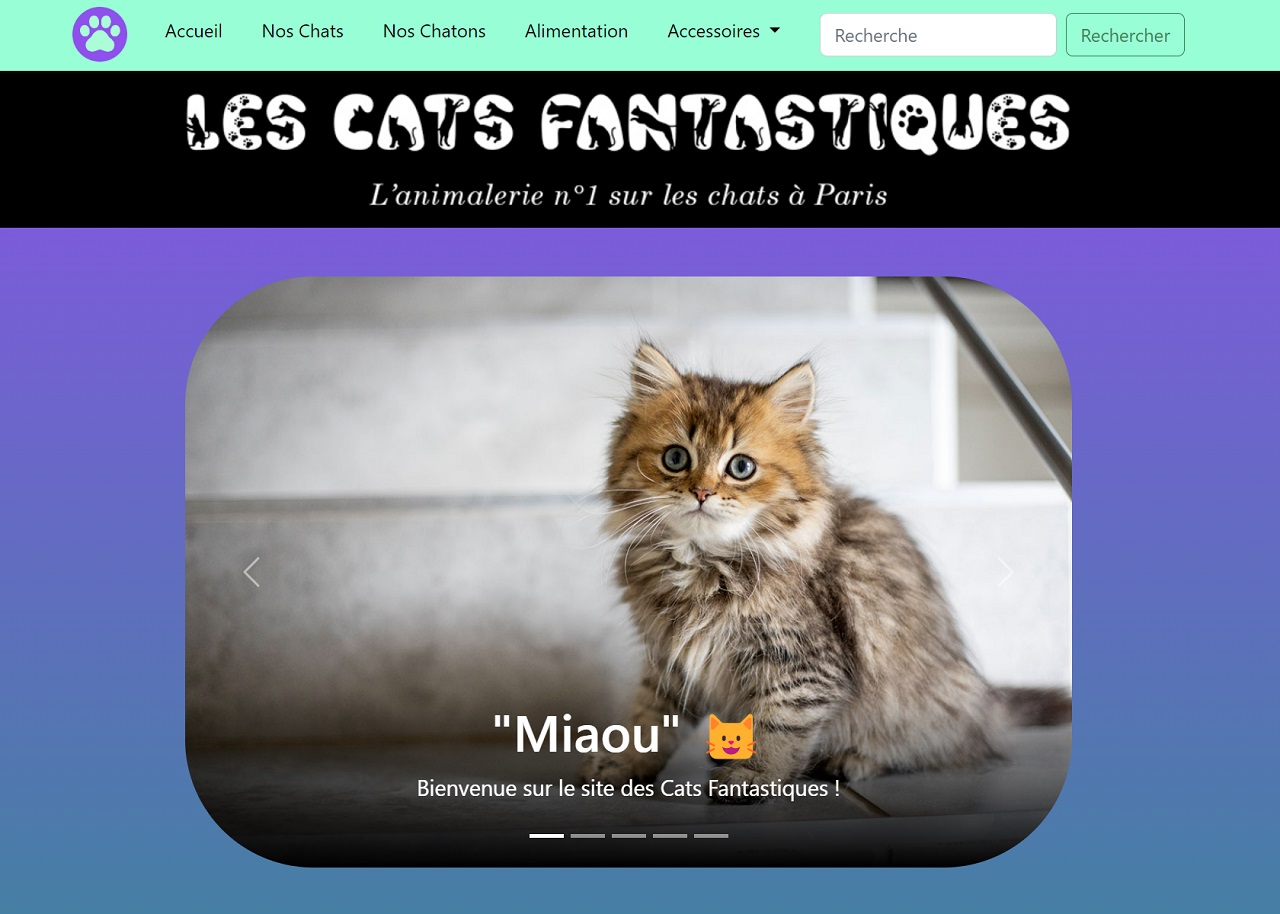 les-cats-fantastiques