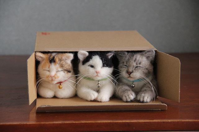 CatBuffer