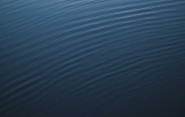 WacOS_wOS_Software