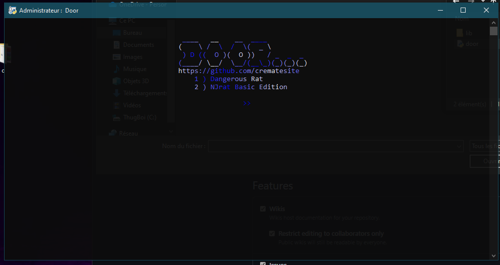 GitHub - 0x33h/DoorExploiter