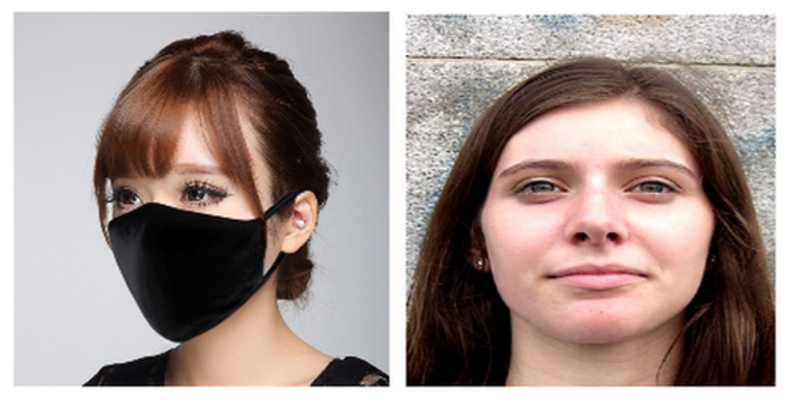GitHub - diponkor-bala/Face_Mask_Dataset_2022: Masks are one of the few ...