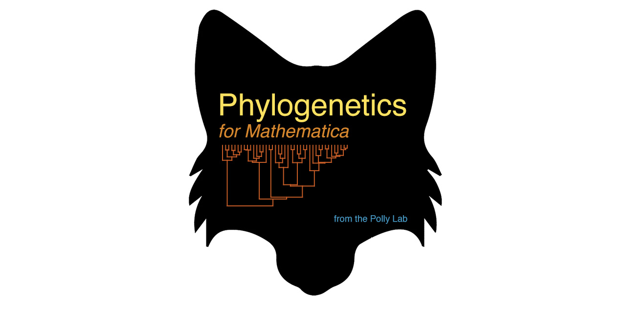 Phylogenetics-for-Mathematica