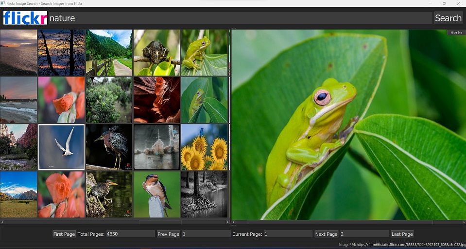 FlickrImageSearch