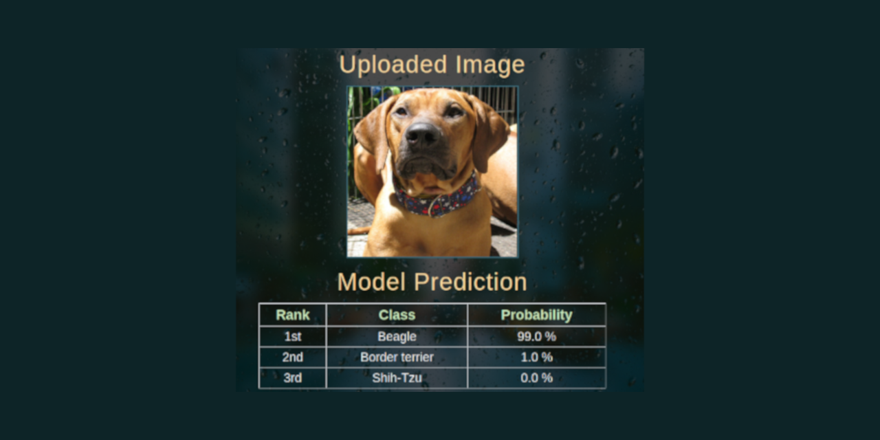 GitHub - LtvnSergey/Dog-Image-Classification: Dog image classification ...